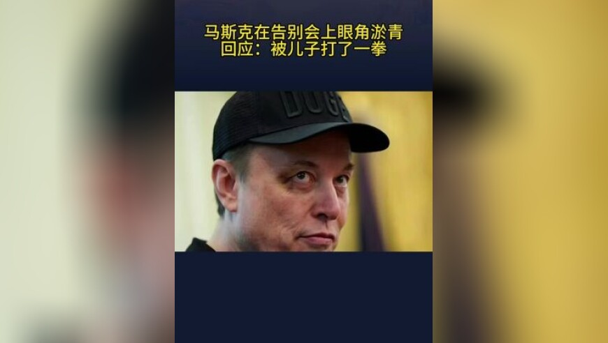 两只狗狗吵架但还是要睡在一起,管家婆高手论坛官方,创新典义解读_精英版V7.22