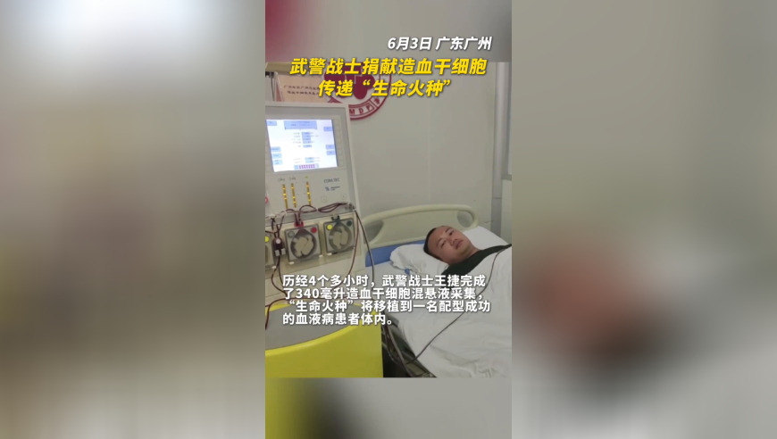 心水高手论坛免费资料熬焖菜澳门,妻子给母亲转账122万 丈夫起诉返还,广泛的解释落实支持计划_界面版V4.63