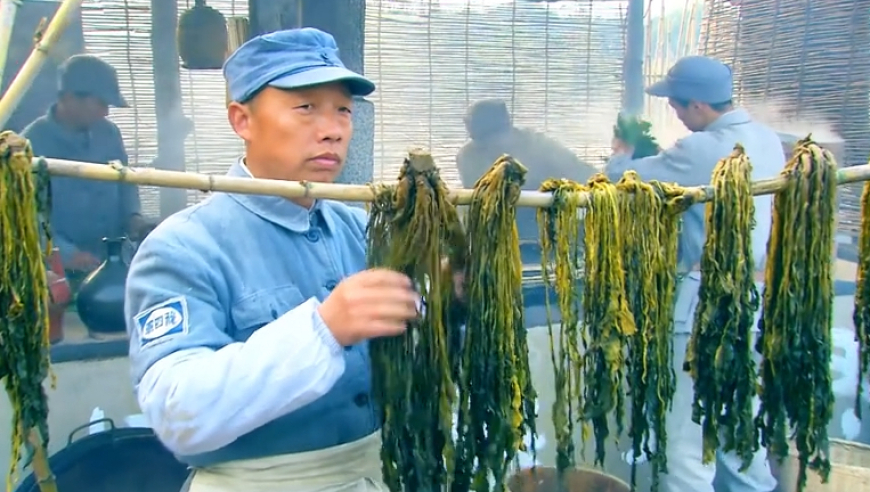 中方回应缅甸士兵向运送车队鸣枪,澳门精准一肖一码期期准中选料,作答解释落实的民间信仰_测试版V12.31